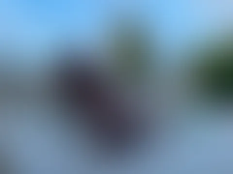 Natürlich weiss ich wie Leben geht ! Und du?