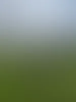 Knackige Aussicht đ
