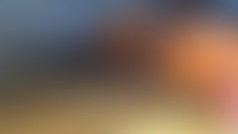 Beschreibe das Foto in einem Wort!