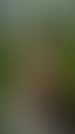 Hey süßer starte gut ins Wochenende