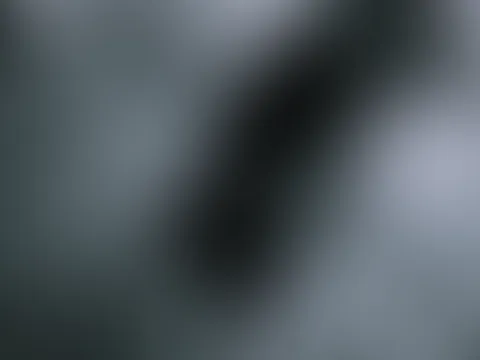 đ