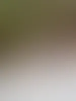 Lust auf eine runde Outdoor?
