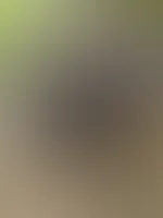 Disziplin beginnt dort, wo Ausreden enden.