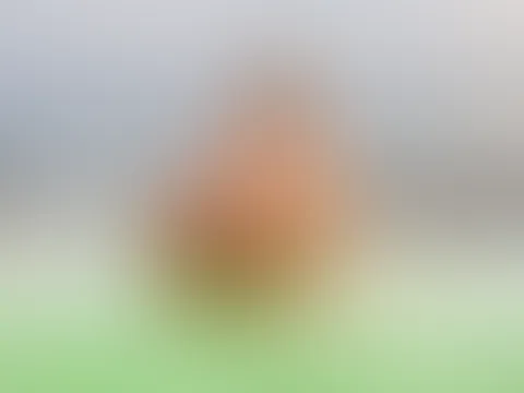 Was für eine Aussicht 😜 Ich zeige dir gerne meine gepiercte F***e, meinen prallen A***h und meine geilen Naturtitten💦🥰 Bin heute am Donnerstag von 18 - 20 Uhr Live in der Cam für dich! Also lass