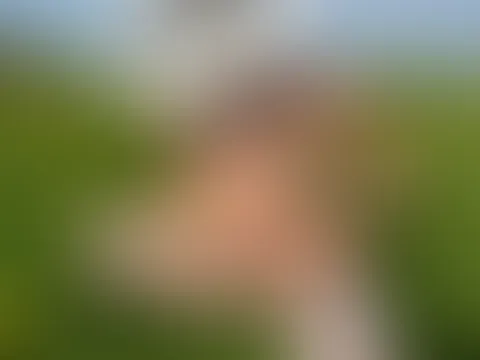 Im transparenten Dessous in der Frühlingswiese streichle ich mit einem Löwenzahn meine nackte Brust