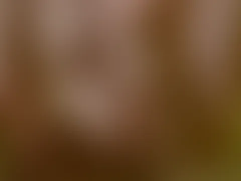 Bade dildo Video