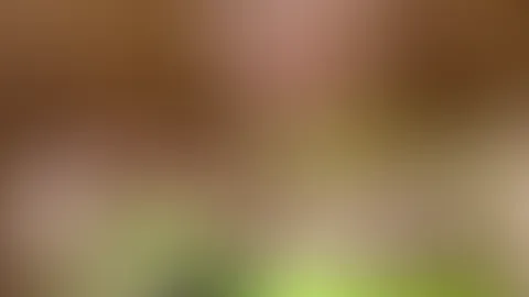 Willst du mal für eine Weile meine Hand sein?😻