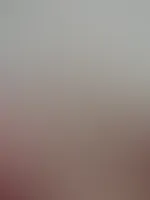Lust auf ein 🫖 Kränzchen 🍰? 🍩 Feed-Edition 🍩