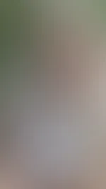 WIllst du mein tättowierten Intimbereich sehen?Schau dich in meinen Videos um