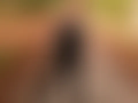 Leder-Kleid draußen (die Serie)🔥🔥ob du ein braver junge warst hab ich gefragt?... ich hab die Gerte nicht umsonst dabei...😏😏