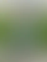Vorschau Bilder für dich von dem Kornfeld Shooting 😈