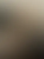 đ