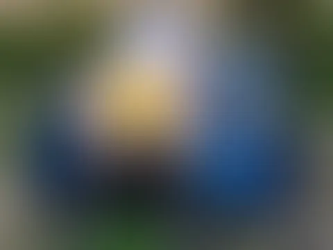Kleiner Sneakpeak im Wald 💗