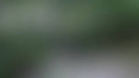 Das neue Video schon gesehen?