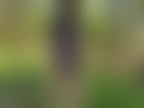 Barfuß durch frisches Gras… 🌿 Das ist purer Genuss im Moment. Warme Sonnenstrahlen, weiches Gras unter den Füßen, sanfter Wind und totale Freiheit