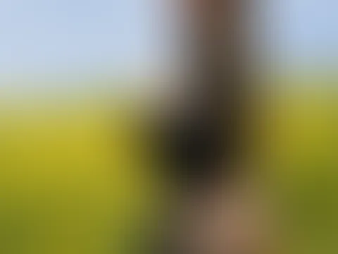 Jetzt mal ehrlich: Nippelklemmen oder -Pumpe? 🤔