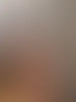 đ