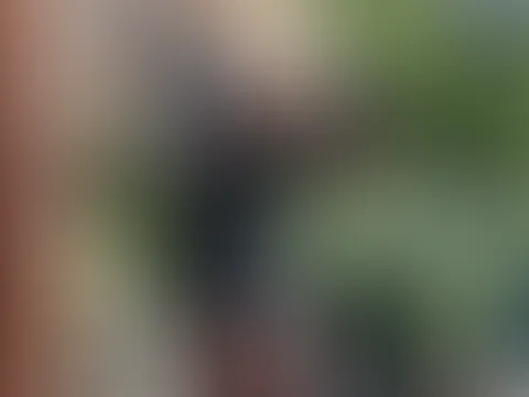 Kaffee ☕️, Sonnenschein und das fröhliche Gezwitscher der Vögel. In solchen Momenten spürt man, wie die Sorgen des Alltags in den Hintergrund treten und Platz für neue Ideen und positive Gedanken scha