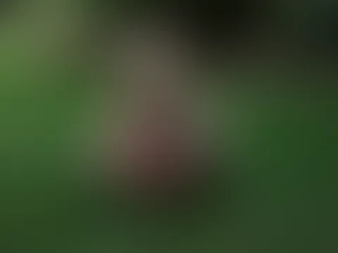 Ich stehe total auf Bondage.