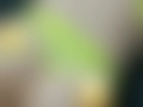 Dursichtige gelbe Dessous 💦😈