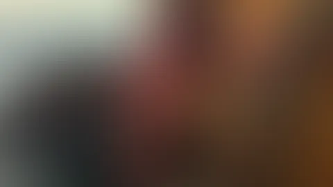 Kannst du es schaffen, mein Fotograf zu sein?