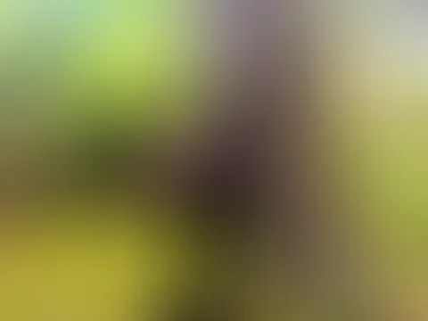 Den sonnigen Tag genossen