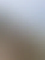 Nackt am Strand und S****a in der P***y. Nur für Feed Abo´s