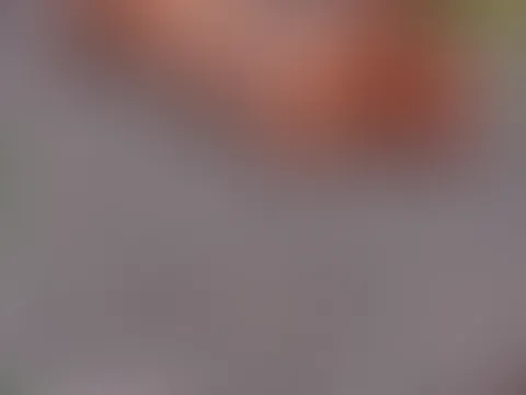 Wir hätten da auch zusammen liegen können