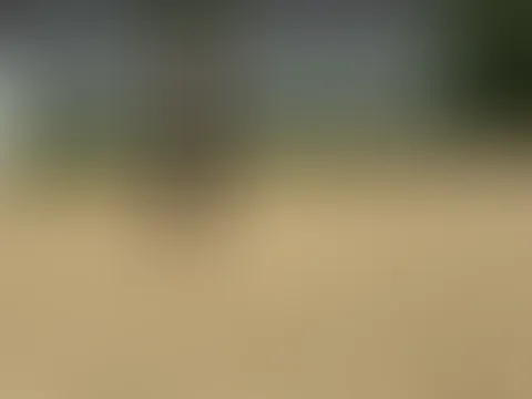Ich kann es noch 😋😅