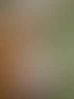 A***h geilen Tag gewünscht 😍👌