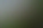 Ein kleiner Einblick in meine neue Holzi Serie Na wie gefĂ€llt sie euch đ€đ€âșïž
