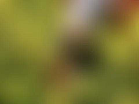 Was gibt es schöneres als wippende Möpse - gut schaukelnde Eier vielleicht noch ;-)