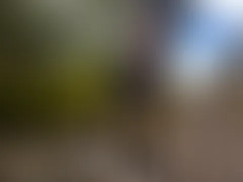 Das Interessanteste passiert eine Sekunde vor dieser Einstellung und eine Sekunde danach.😘
