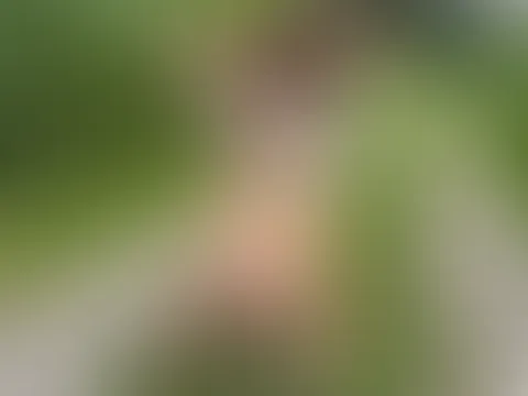 Unten ohne knie ich auf dem Feldweg und strecke dir meinen nackten A***h entgegen