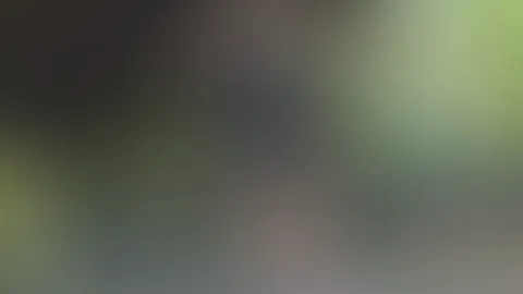 Lust mich aus zu ziehen?