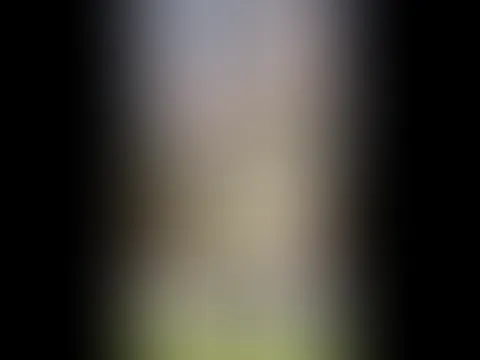 Erwischt auf dem Holzstrunk