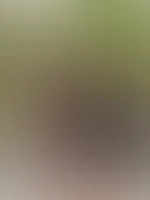 Das Wetter ist heute nicht so toll. Aber perfekt für Bilder machen😋