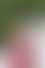 Willst du mir lieber folgen oder mich ausziehen?đ