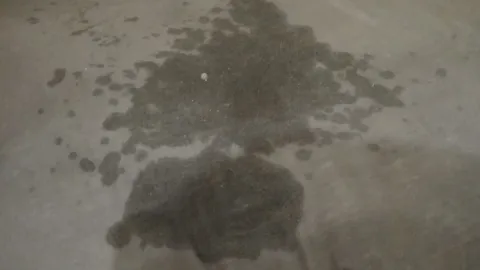 Kannst du es besser als dieser Dildo?