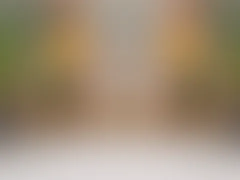 HILFE ich kann mich nicht entscheiden!