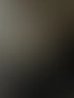 đ