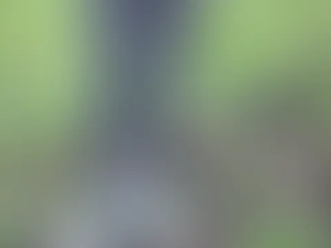 Ich war im Wald🤭 Erst hab ich mich voll gep**st 💦danach hab ichs mir schön mit dem dildo gemacht bis ich gekommen bin 🥵