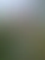 Gehst du nächstes Mal mit spazieren Babe? 😋 Mehr gibt's im Feed Abo 🥰😋😎