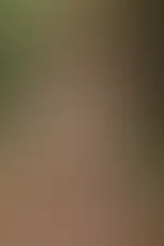 Nackt im Wald preview 🤭