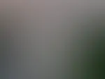 Bei solch heissem Wetter muss man auch mal kurz die Titten durchatmen lassen