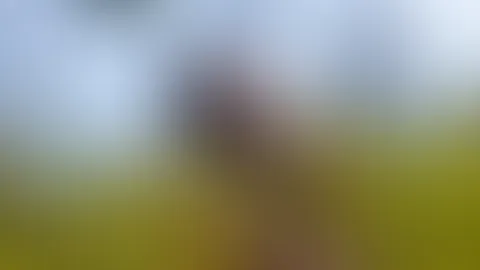 Komm zu mir 😈