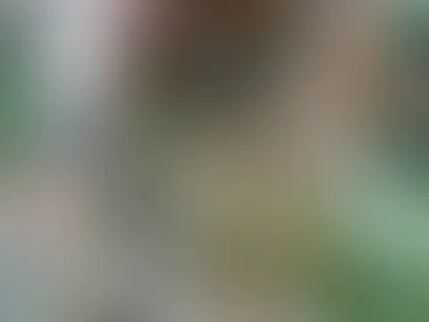 Na, wer hüpft denn auch gern nackt durch den Wald? 🔥 Und wer muss auch ständig p**sen? ✌🏻💦 Und wer mag n richtig schön tiefen Pinkshot, während und nach dem p**sen? 🔥😁