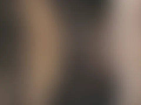 2026 ✨