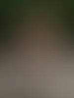 Weitere heiße Bilderserie aus dem Wald