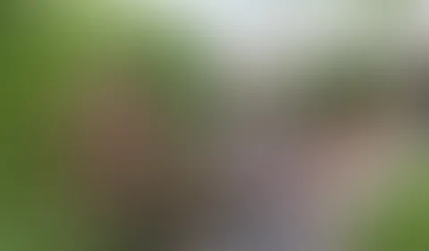 In Nachbars Kellerloch dreckig abgef**kt